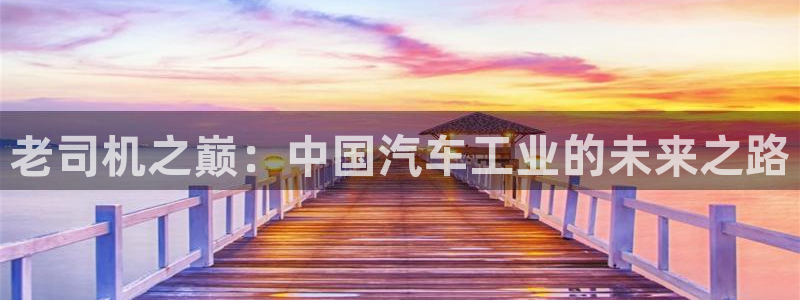 先锋娱乐公司：老司机之巅：中国汽车工业的未来之路