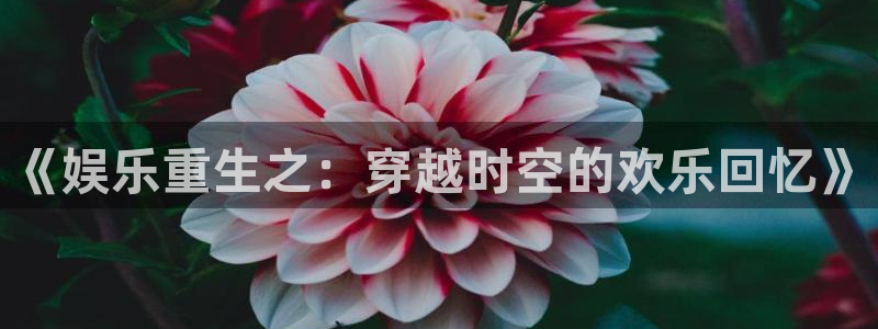先锋娱乐公司：《娱乐重生之：穿越时空的欢乐回忆》