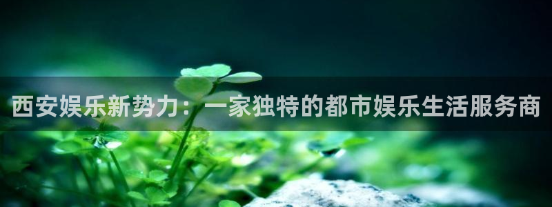 先锋娱乐平台：西安娱乐新势力：一家独特的都市娱乐生活服务商