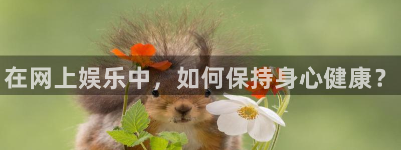 先锋娱乐公司：在网上娱乐中，如何保持身心健康？