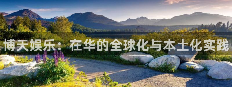 先锋娱乐公司：博天娱乐：在华的全球化与本土化实践