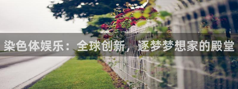 先锋娱乐：染色体娱乐：全球创新，逐梦梦想家的殿堂