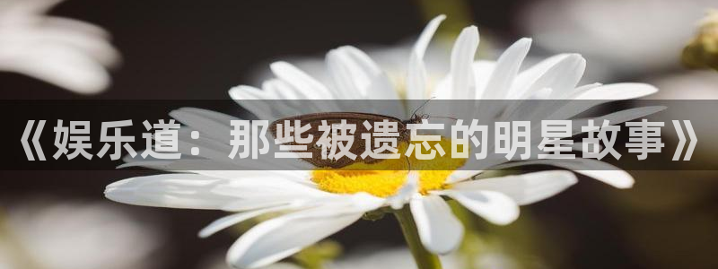 先锋娱乐：《娱乐道：那些被遗忘的明星故事》