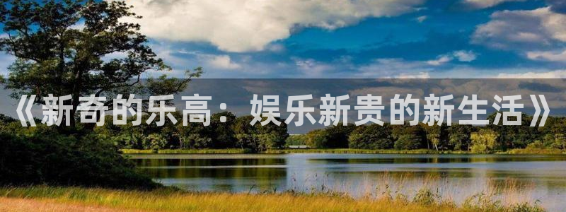 先锋娱乐平台：《新奇的乐高：娱乐新贵的新生活》